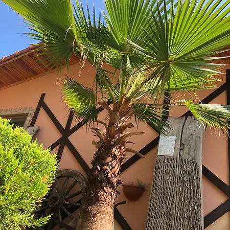 Ipek Hotel Cirali