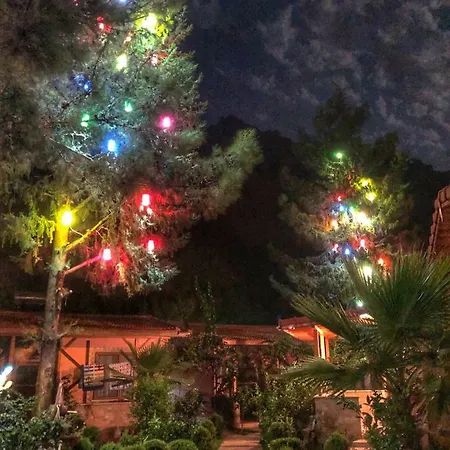 Ipek Cirali